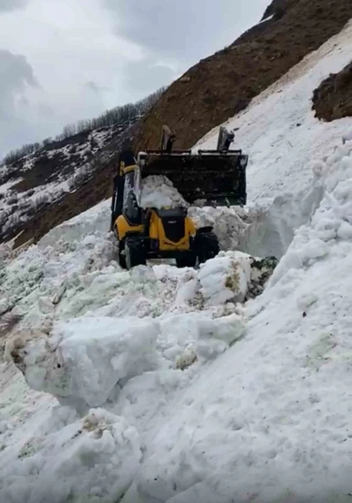 Bingöl’de karla kapalı köy yolu ulaşıma açıldı
