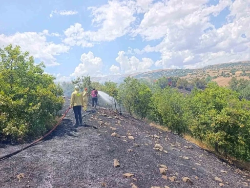 Bing&ouml;l&rsquo;de orman yangını b&uuml;y&uuml;meden s&ouml;nd&uuml;r&uuml;ld&uuml;

