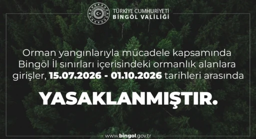 Bing&ouml;l&rsquo;de ormanlık alanlara girişler yasaklandı
