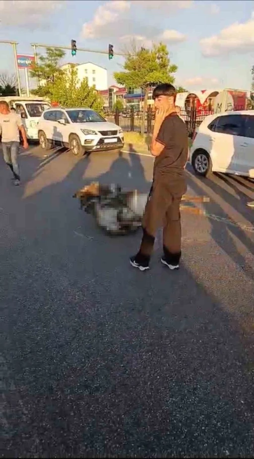 Bing&ouml;l&rsquo;de otomobilin &ccedil;arptığı eşek telef oldu
