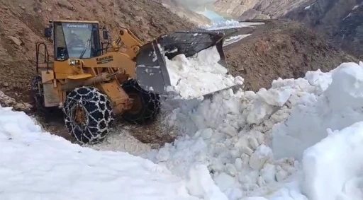 Bing&ouml;l&rsquo;de &Ouml;zel İdare ekipleri zorlu arazi şartlarında &ccedil;alışmalarını s&uuml;rd&uuml;r&uuml;yor
