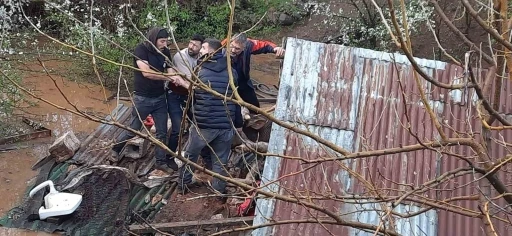 Bingöl’de sağanak felakete yol açtı: Su basan ahırda çok sayıda hayvan telef oldu
