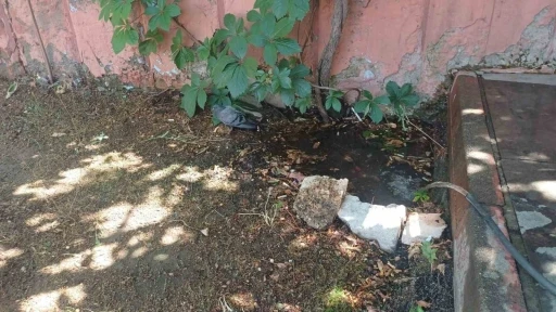 Bing&ouml;l&rsquo;de sıcaktan bunalan g&uuml;vercin su birikintisinde serinledi
