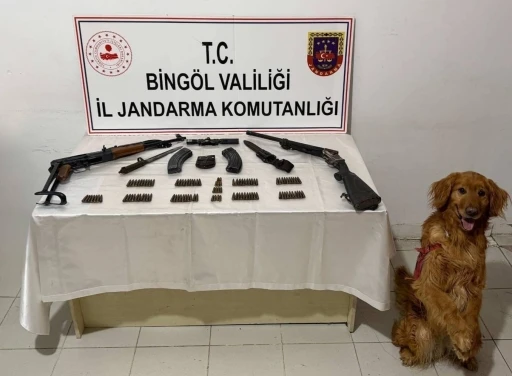 Bing&ouml;l&rsquo;de silah ve m&uuml;himmat ele ge&ccedil;irildi
