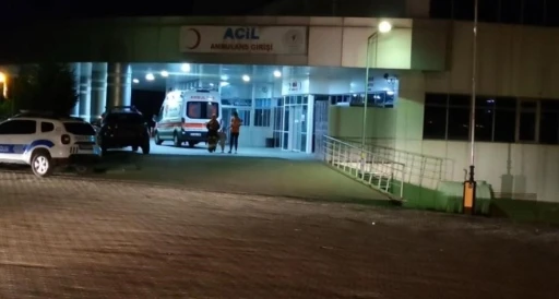 Bingöl’de trafik kazası: 8 yaralı

