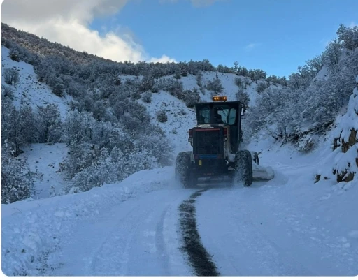 Bing&ouml;l&rsquo;de yoğun kar yağışı: 100 k&ouml;y yolu kapalı
