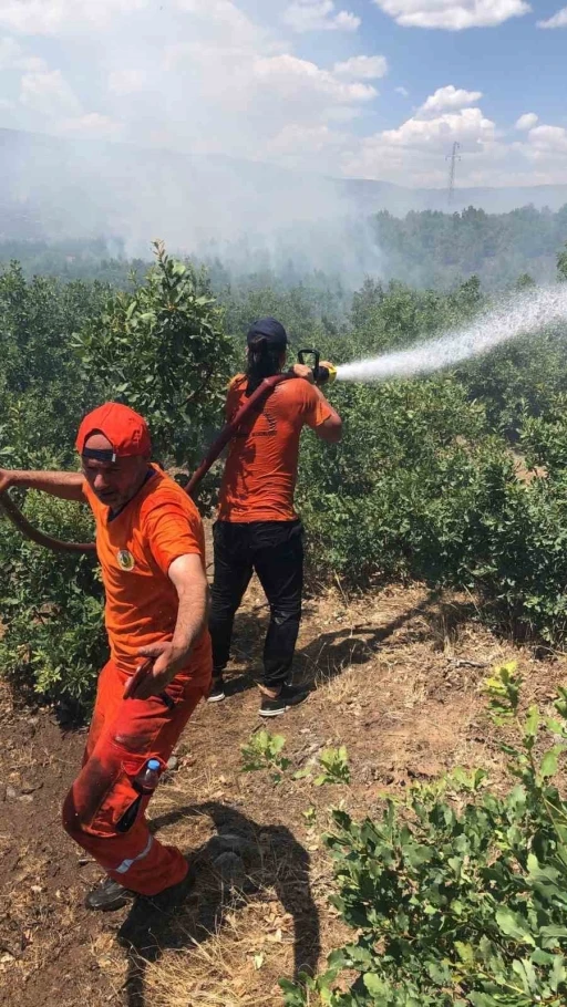 Bingöl’deki orman yangını kontrol altına alındı
