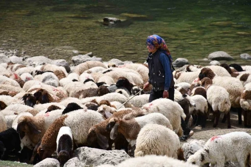 Bir çocuğun sessiz çığlığı: &quot;Hiç oyuncağım olmadı&quot;

