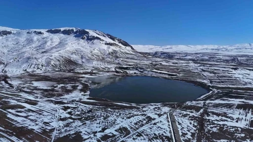 Bir d&ouml;nem tamamen kuruyup beyaz &ouml;rt&uuml;yle kaplanmıştı, yeniden su tuttu
