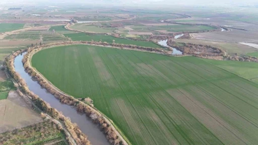 Bir yılda zirai dondan etkilenen &uuml;reticilere 54 milyon TL destek yapıldı
