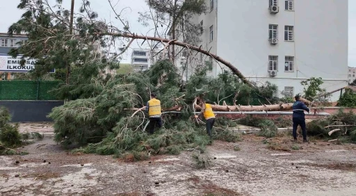 Birecik&rsquo;te afetin yaraları sarılıyor

