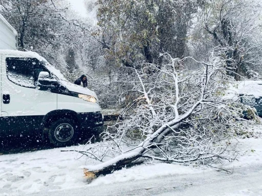 Birecik&rsquo;te karın ağırlığına dayanamayan ağa&ccedil; dalları ara&ccedil;ların &uuml;zerine devrildi
