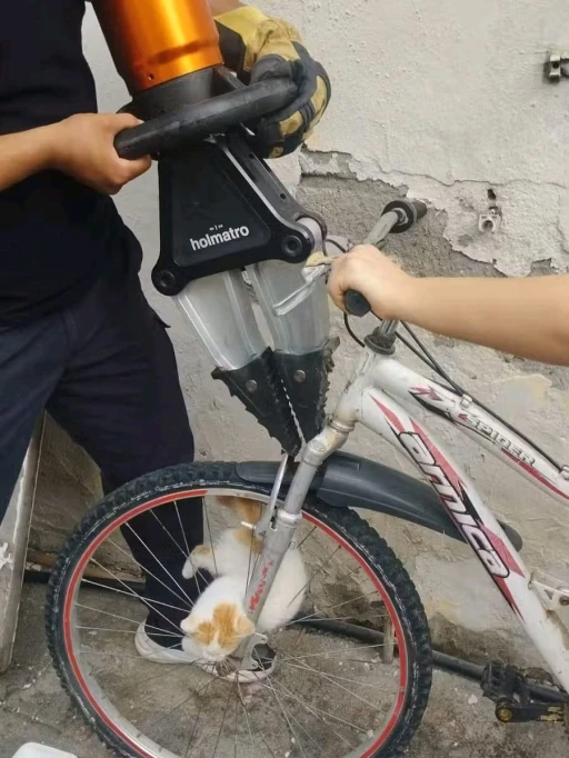 Bisikletin jant teline sıkışan yavru kediyi itfaiye kurtardı
