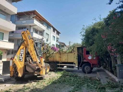 Bitkisel atıklar komposta dönüştürülerek geri kazanılıyor
