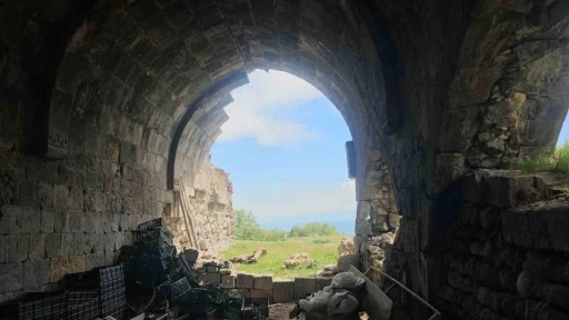 Bitlis&rsquo;in tarihi mirası sessizce yok oluyor: Lale Paşa Hanı ilgi bekliyor
