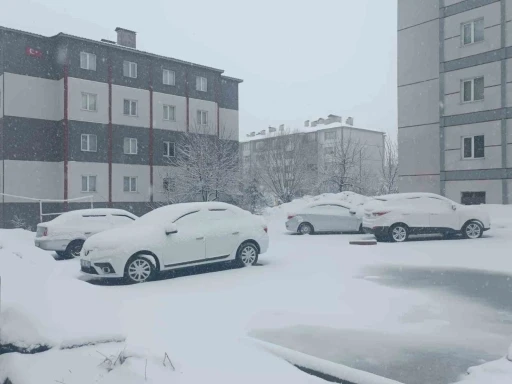 Bitlis nisan ayında yeniden beyaza b&uuml;r&uuml;nd&uuml;
