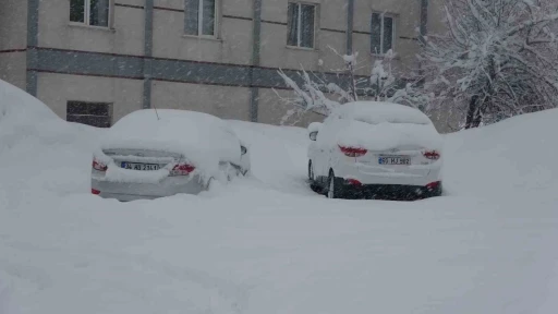 Bitlis&rsquo;te 111 k&ouml;y yolu ulaşıma kapandı
