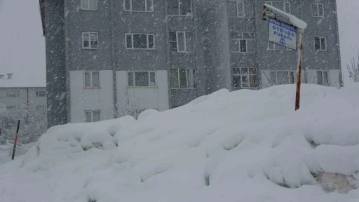 Bitlis&rsquo;te 304 k&ouml;y yolu kar nedeniyle ulaşıma kapandı
