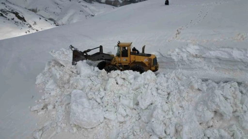 Bitlis&rsquo;te 5 metreyi bulan karda yol a&ccedil;ma &ccedil;alışması

