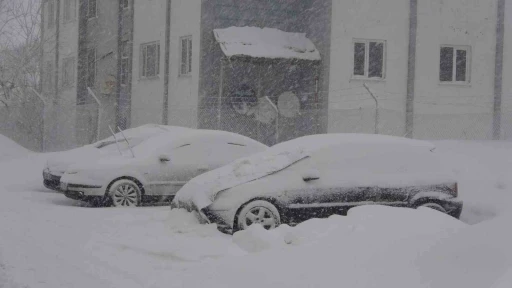 Bitlis&rsquo;te 51 k&ouml;y yolu ulaşıma kapandı
