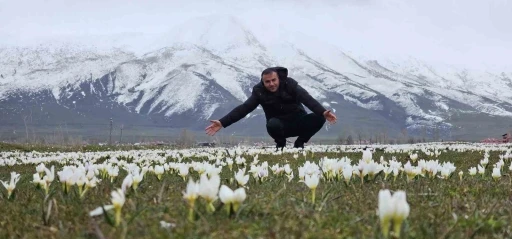 Bitlis&rsquo;te baharın m&uuml;jdecisi kardelenler a&ccedil;tı
