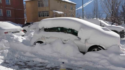 Bitlis&rsquo;te kar esareti: 181 k&ouml;y yolu ulaşıma kapandı
