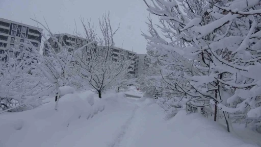 Bitlis&rsquo;te kar esareti, 229 k&ouml;y yolu ulaşıma kapalı
