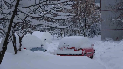 Bitlis&rsquo;te kar yağışı nedeniyle 87 k&ouml;y yolu ulaşıma kapandı
