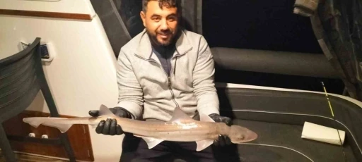 Bodrum a&ccedil;ıklarında oltaya k&ouml;pek balığı takıldı
