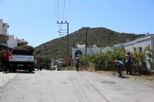 Bodrum Belediyesi'nden Kapsamlı Çevre Temizliği