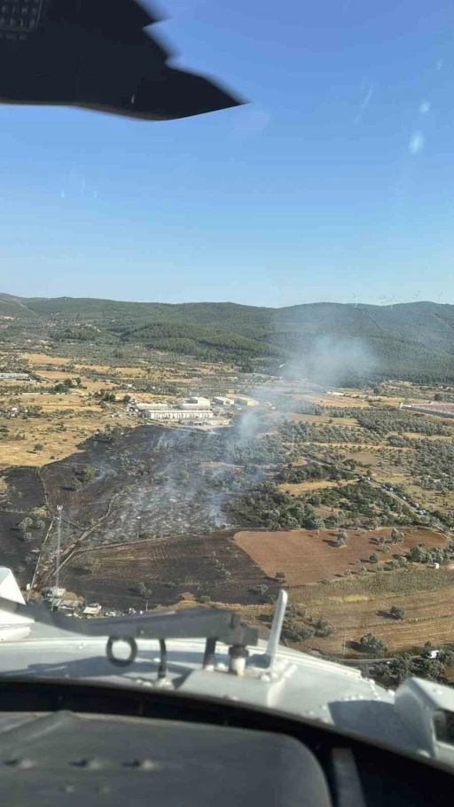 Bodrum’da çıkan zirai alan yangını büyümeden söndürüldü
