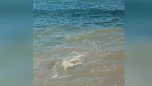 Bodrum'da Deniz Kirliliğine Başsavcılık Soruşturması