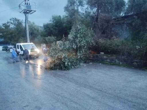 Bodrum&rsquo;da fırtına etkili oldu
