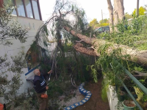 Bodrum Fırtınayla Boğuşuyor