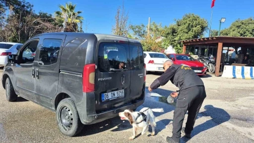 Bodrum&rsquo;da g&uuml;venlik &ouml;nlemleri &uuml;st d&uuml;zeye &ccedil;ıkarıldı
