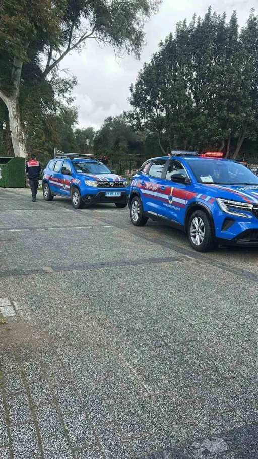 Bodrum&rsquo;da iki k&ouml;peğin silahla vurulduğu iddiası
