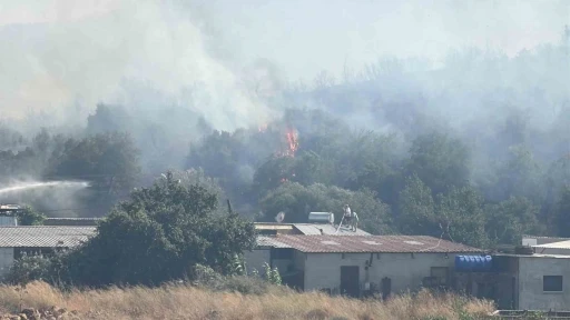 Bodrum’da makilik alanda yangın paniği
