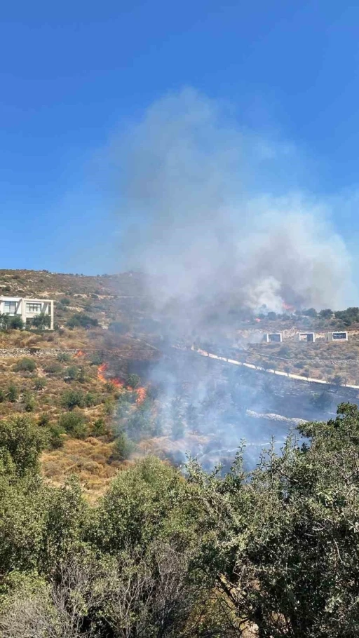 Bodrum&rsquo;da makilik yangını
