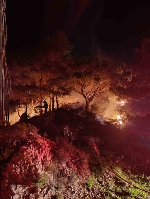 Bodrum&rsquo;da ormanlık alanda yangın