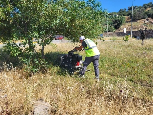 Bodrum&rsquo;da ot temizliği &ccedil;alışmaları t&uuml;m hızıyla devam ediyor
