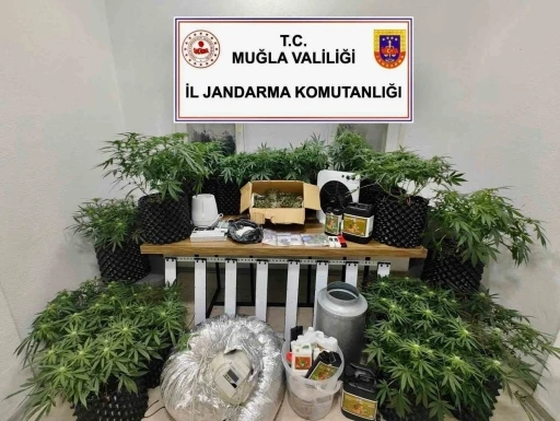 Bodrum’da uyuşturucu baskını: 2 gözaltı

