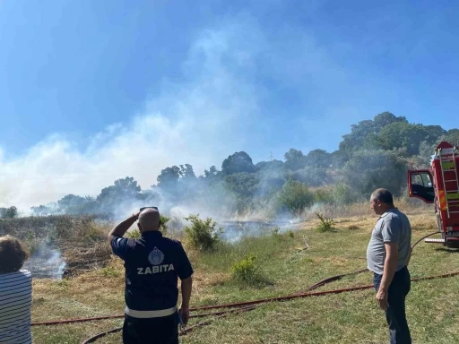 Bodrum’da zirai alan yangını
