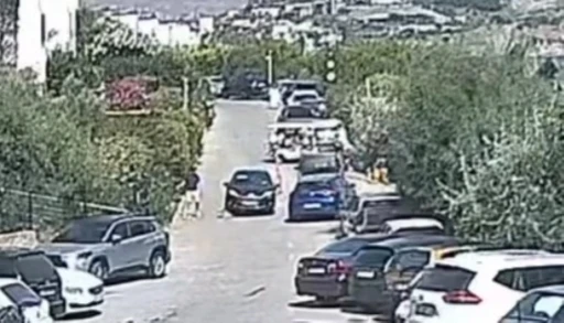 Bodrum&rsquo;daki k&ouml;pek davasında sanık beraat etti
