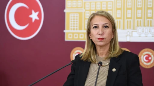 Bodrum'daki Market Darp Olayı TBMM'de