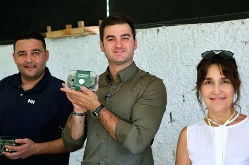 Bodrum Mandalini Erken Hasatla Sofralara Geliyor