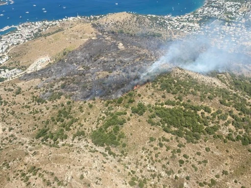 Bodrum Türkbükü'nde Yangın Kontrol Altında