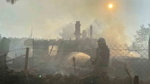 Bolu’da 12 yapıyı kül eden yangın kundaklama çıktı: Şüpheliler itiraf etti
