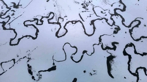Bolu&rsquo;da 14 k&ouml;y&uuml;n yaylasında mendereslerin g&ouml;r&uuml;nt&uuml;s&uuml; mest etti
