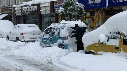 Bolu&rsquo;da kar k&uuml;rekleri &rsquo;yok&rsquo; sattı
