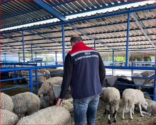 Bolu&rsquo;da kurban pazarlarına y&ouml;nelik denetim yapıldı
